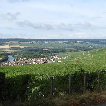 La Porte Du Champagne Daire *