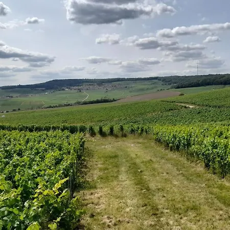 La Porte Du Champagne * Hautvillers