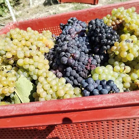 La Porte Du Champagne *