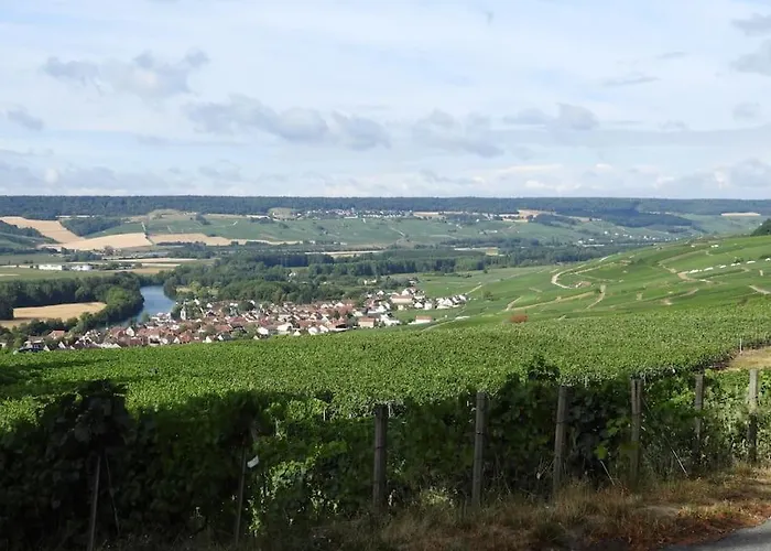 La Porte Du Champagne Apartment *