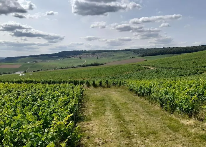 La Porte Du Champagne * Hautvillers