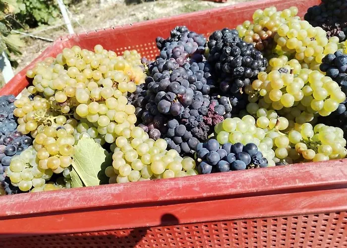 La Porte Du Champagne *